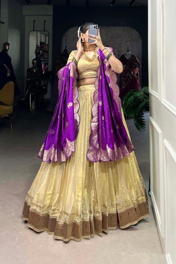 Elegant Erode Lehenga With Paithani Border & Zari Weaving Dupatta