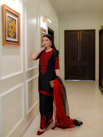 Black Luxe Embroidered Suit Set with Red Kashmiri Detailing